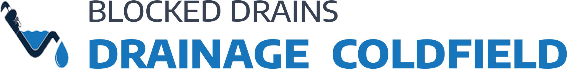 website logo
